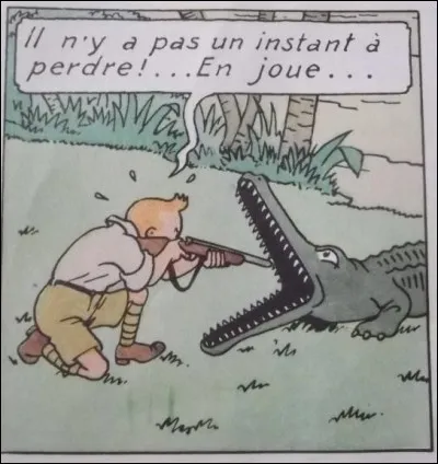 De quel album cette case provient-elle ?