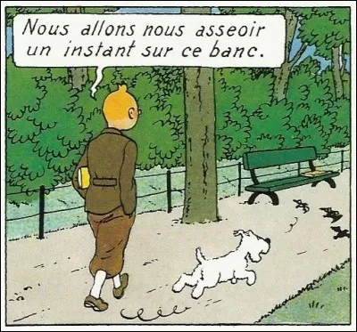 De quel album cette case provient-elle ?