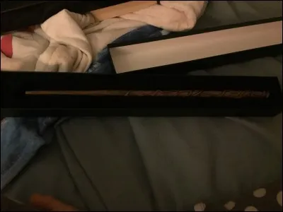 Comment se nomme la potion qui permet d'échanger les personnalités ?