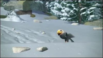 Qui est cet aiglon ?