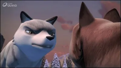 Qui est ce jeune loup ?