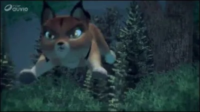 Qui est ce bébé lynx ?