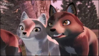 Qui sont ces deux louveteaux ?