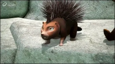 Qui est ce porc-épic ?