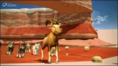 Qui ce jeune élan ?