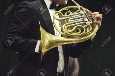 Quel est le nom de cet instrument à vent ?