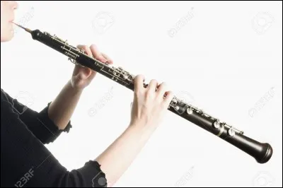 Je suis un instrument à vent de la famille des bois. 
Qui suis-je ?
