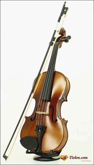 De quelle famille d'instruments fais-je partie ?