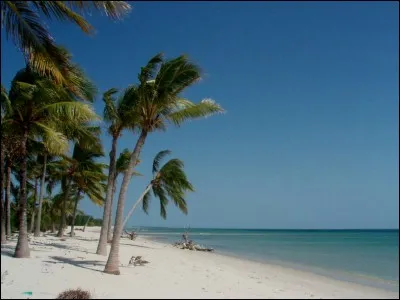 Comment s'appelle l'île que Magellan a découverte ?