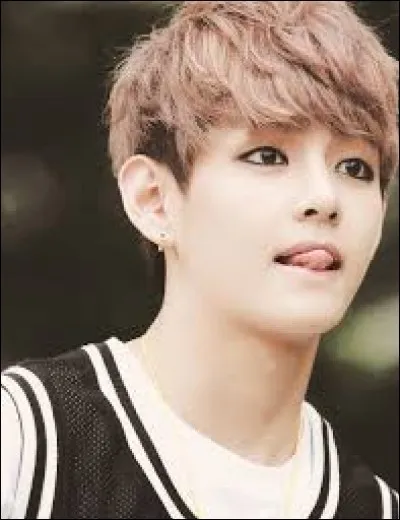 Quel titre évoquent ces mots : "first lady" ?