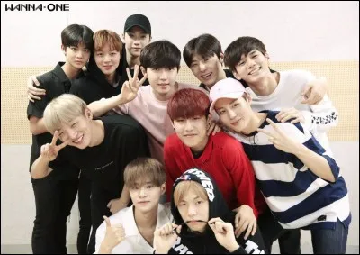 Quand les Wanna One ont-ils débuté, et avec quels titres ?