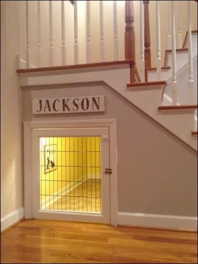 Idée originale pour utiliser le dessous de l'escalier... à condition que "Jackson" soit bien un chien ! A quel héros cela fait-il penser ?