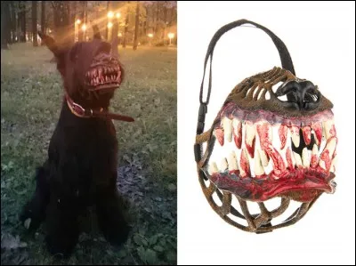 Charmant gadget que celui-ci... la muselière loup-garou... Moins drôle sur un doberman ou un rotweiler que sur un... ?