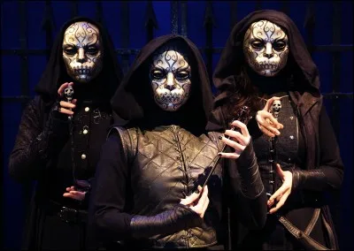 Quel serait ton rôle parmi les Mangemorts ?