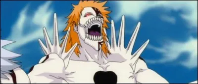 Ichigo est sur le point de se transformer en hollow dans cet arc.