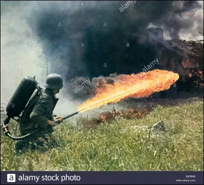 Deux innocentes, un docteur pacifique et un commando de SS sanguinaires, quand tout ce monde se rencontre vous obtenez :