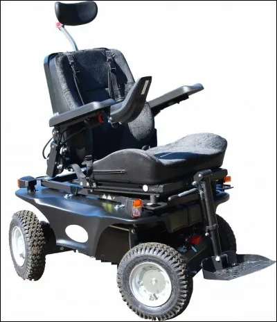 L'humour exubérant qui rend la joie de vivre à la culture brisée compose avec le film :