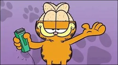 Quel est ce dessin animé ?