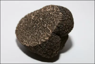 A quelle saison arrive la truffe noire?
