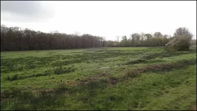 Nous vivons dans ...