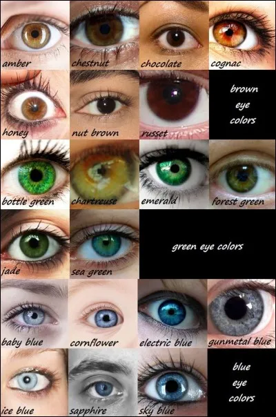 De quelle couleur sont tes yeux ?