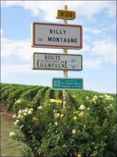 Nous sommes à l'entrée de Rilly-la-Montagne (Marne), village où les habitants portent le gentilé ...