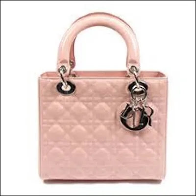 Un sac très classe, comment s'appelle-t-il ?