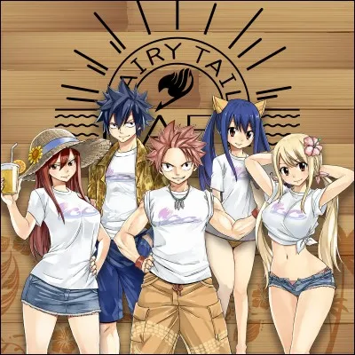 Combien y a-t-il eu de tomes « Fairy Tail », sans compter les hors-série, etc ?