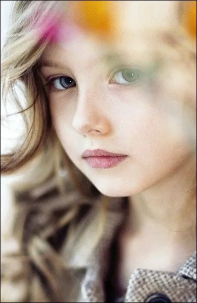 Laquelle est la plus belle ?