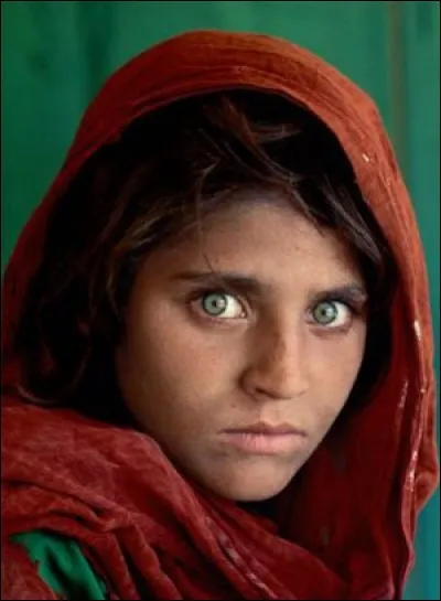 Mélangeant différentes techniques d'animation, son dernier film évoque notamment la tyrannie, la discrimination et la perte d'un être cher.
Produit par Angelina Jolie et nommé aux Oscars, quel est le titre français de ce film ?