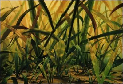 De quel Disney provient ce paysage ?