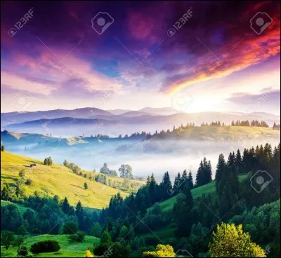 Tu préfères être :