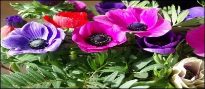 Je n'ai pas besoin de réfléchir.