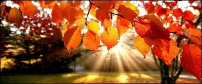 Pour une balade encore ensoleillée et surtout fructueuse.