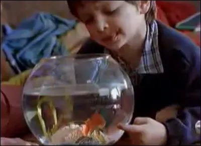 Quel est le nom du poisson rouge auquel le petit garçon dit ''Tu pousses le bouchon un peu trop loin'', dans une pub pour Nestlé ?