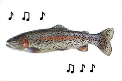 Qui a composé le quintette ''La Truite'' ?