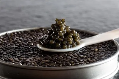 Le caviar est un aliment élaboré à partir des ufs de quel poisson ?