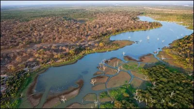 Quel cours d'eau traverse le Botswana, la Namibie, l'Angola et se perd dans le désert du Kalahari en formant des centaines de bras ?
