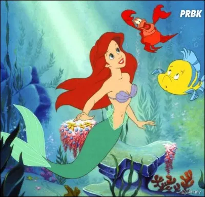 Dans la chanson " Partir Là-bas" que veut pouvoir faire Ariel ?