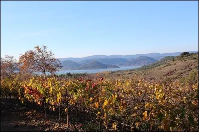 Quelle est la couleur de la terre du lac du Salagou dans l'Hérault ?