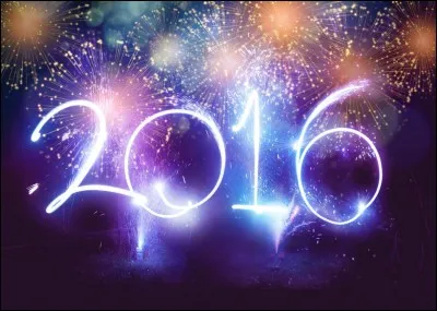 Quelle fille se prend en photo dans le bug 2016 ?