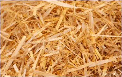 Quel est cet aliment ?