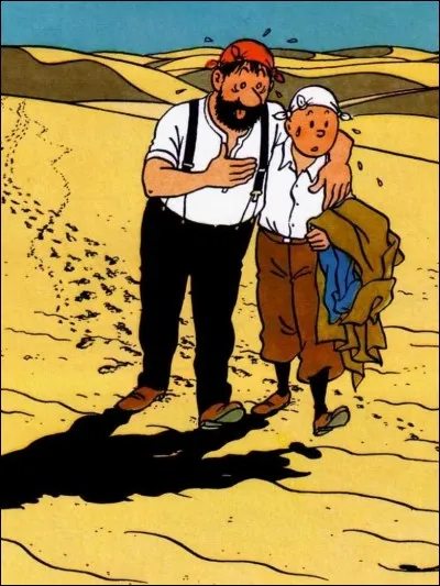 Quelle est la première aventure de Tintin ?