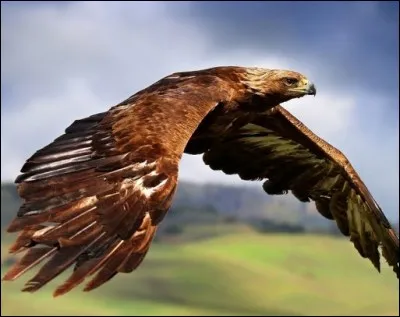 Qui était surnommé "L'Aigle des Açores" ?