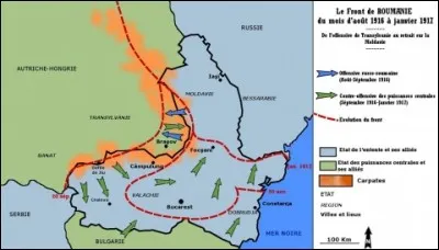 Un peu d'Histoire. Quel camp rejoignit la Roumanie en 1916 ?