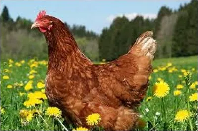 Ne perdez pas une minute, ce nom est associé à un ustensile de cuisine !