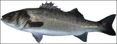 Il vous arrive sans doute de fréquenter ce endroit, avec modération bien sûr !