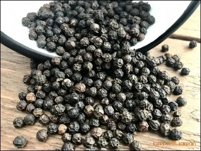 Quelle épice se trouve généralement dans un "moulin" ?