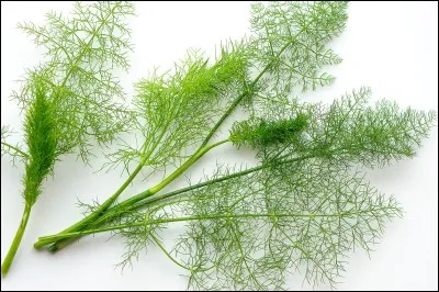 Comment s'appelle cette herbe délicieuse ?