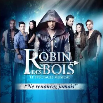 2013 : Quel chanteur tient le premier rôle dans la comédie musicale ''Robin des Bois'' ?